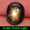 2.98 Ct. Natural Gemstone 6 Rays Black Star Sapphire Oval Cabochon 2.98 Ct. Natural Gemstone 6 Rays Black Star Sapphire Oval Cabochon