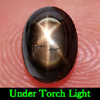 1.07 Ct. Natural Gemstone 6 Ray Black Star Sapphire Oval Cabochon 1.07 Ct. Natural Gemstone 6 Ray Black Star Sapphire Oval Cabochon
