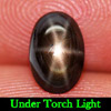 1.61 Ct. Oval Cabochon Natural Gemstone 6 Ray Black Star Sapphire 1.61 Ct. Oval Cabochon Natural Gemstone 6 Ray Black Star Sapphire