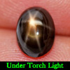 2.19 Ct. Oval Cabochon Natural Gemstone 6 Rays Black Star Sapphire 2.19 Ct. Oval Cabochon Natural Gemstone 6 Rays Black Star Sapphire