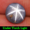 1.92 Ct. Round Cabochon Natural Gem Blue Star Sapphire 6 Rays Unheated 1.92 Ct. Round Cabochon Natural Gem Blue Star Sapphire 6 Rays Unheated