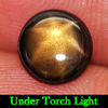 Golden Star Sapphire 6 Ray Certified 1.31 Ct. Oval Cab7.16 x 7.48Mm. Natural Gem Golden Star Sapphire 6 Ray Certified 1.31 Ct. Oval Cab7.16 x 7.48Mm. Natural Gem
