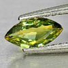 0.50 Ct. Natural Gemstone Greenish Yellow Sapphire Marquise Shape From Thailand 0.50 Ct. Natural Gemstone Greenish Yellow Sapphire Marquise Shape From Thailand