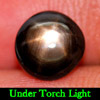 2.31 Ct. Natural Gemstone Black Star Sapphire 6 Rays Round Cabochon 2.31 Ct. Natural Gemstone Black Star Sapphire 6 Rays Round Cabochon