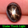 Nice 2.21 Ct. Natural Black Star Sapphire 6 Rays Oval Cabochon Gemstone