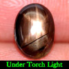 1.63 Ct. Attractive Natural Gemstone Black Star Sapphire 6 Rays Oval Cabochon