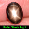 1.51 Ct. Natural 6 Rays Black Star Oval Cab Sapphire Gemstone