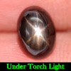 2.40 Ct. Oval Cabochon Natural Gem Black Star Sapphire 6 Rays