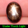 1.47 Ct. Oval Cabochon Natural Gem Black Star Sapphire 6 Rays
