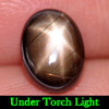 Natural Black Star Sapphire Gemstones 2.20 Ct. Oval Cabochon Shape 8.3 x 6.2 Mm. Natural Black Star Sapphire Gemstones 2.20 Ct. Oval Cabochon Shape 8.3 x 6.2 Mm.