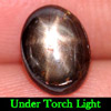 Natural Gemstone 1.71 Ct. Oval Cabochon Black Star Sapphire 6 Rays