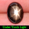 1.60 Ct. Good Gem Natural Black Star Sapphire 6 Rays Oval Cabochon