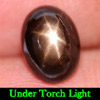 2.44 Ct. Natural Gem Oval Cabochon Black Star Sapphire 6 Rays