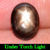 1.56 Ct. Natural Gem Oval Cabochon Black Star Sapphire 6 Rays From Thailand