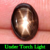 1.73 Ct. Natural Gemstone Black Star Sapphire 6 Rays Oval Cabochon