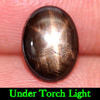 1.46 Ct. Oval Cabochon Natural Black Star Sapphire 6 Rays Gemstone