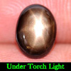 1.64 Ct. Oval Cabochon Natural Black Star Sapphire 6 Rays Gemstone