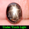 2.18 Ct. Oval Cabochon Natural Gemstone Black Star Sapphire 6 Rays Thailand