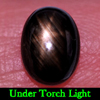 Alluring Gemstone 1.88 Ct. Natural Black Star Sapphire 6 Rays Oval Cabochon