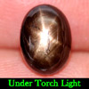 2.24 Ct. Oval Cabochon Natural Black Star Sapphire 6 Rays Gemstone