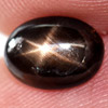1.73 Ct. Oval Cabochon Natural Black Star Sapphire 6 Rays Gemstone