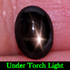 Natural Gem 1.76 Ct. Oval Cabochon Black Star Sapphire 6 Rays Thailand