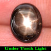2.12 Ct. Oval Cabochon Natural Black Star Sapphire Gemstone 6 Rays