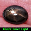 2.76 Ct. Oval Cabochon Natural Gemstone Black Star Sapphire 6 Rays