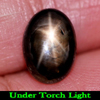 2.33 Ct. Oval Cabochon Natural Gem Black Star Sapphire 6 Rays Thailand