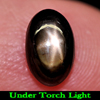 3.00 Ct. Oval Cabochon Natural Gem Black Star Sapphire 6 Rays