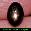 2.34 Ct. Oval Cabochon Natural Gem Black Star Sapphire 6 Rays Thailand