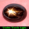 Golden Star Sapphire 6 Rays 3.16 Ct. Oval Cabochon Natural Gem Unheated Thailand