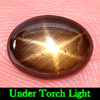 6 Rays Golden Star Sapphire 1.18 Ct. Oval Cabochon 7.7 x 5.9 Mm. Natural Gem