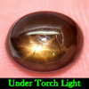 3.05 Ct. Nice Oval Cabochon Natural 6 Rays Golden Star Sapphire Gem