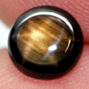 1.05 Ct. Charming Natural Black Star Sapphire 6 Rays Gemstone Round Cabochon 1.05 Ct. Charming Natural Black Star Sapphire 6 Rays Gemstone Round Cabochon