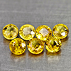 Natural Yellow Songea Sapphire 1.60 Ct. 7 Pcs Round Shape 3.3 Mm Gemstones
