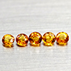 Natural Orange Yellow Songea Sapphire 1.00 Ct. 5 Pcs Round Shape Gemstones