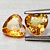 Natural Yellow Songea Sapphire 1.02 Ct. 2 Pcs Heart Shape 5 x 4.9 Mm Gemstones Natural Yellow Songea Sapphire 1.02 Ct. 2 Pcs Heart Shape 5 x 4.9 Mm Gemstones