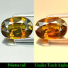 Multi Color Sphene Rainbow Spark 2.67 Ct Oval 10.4 x 7.2 Mm Natural Gem Unheated