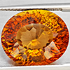 Natural Imperial Topaz 14.72 Ct. Oval Concave Cut  15.7 x 13.1 Mm Gemstone