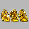 Yellow Tourmaline 1.43 Ct. 6 Pcs. Trilliant Shape 4.2 Mm. Natural Gemstones