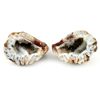 Multi-Color Agate Druzy Rough 205.86 Ct. Match Pair 43 x 38 Mm. Natural Gemstone Multi-Color Agate Druzy Rough 205.86 Ct. Match Pair 43 x 38 Mm. Natural Gemstone