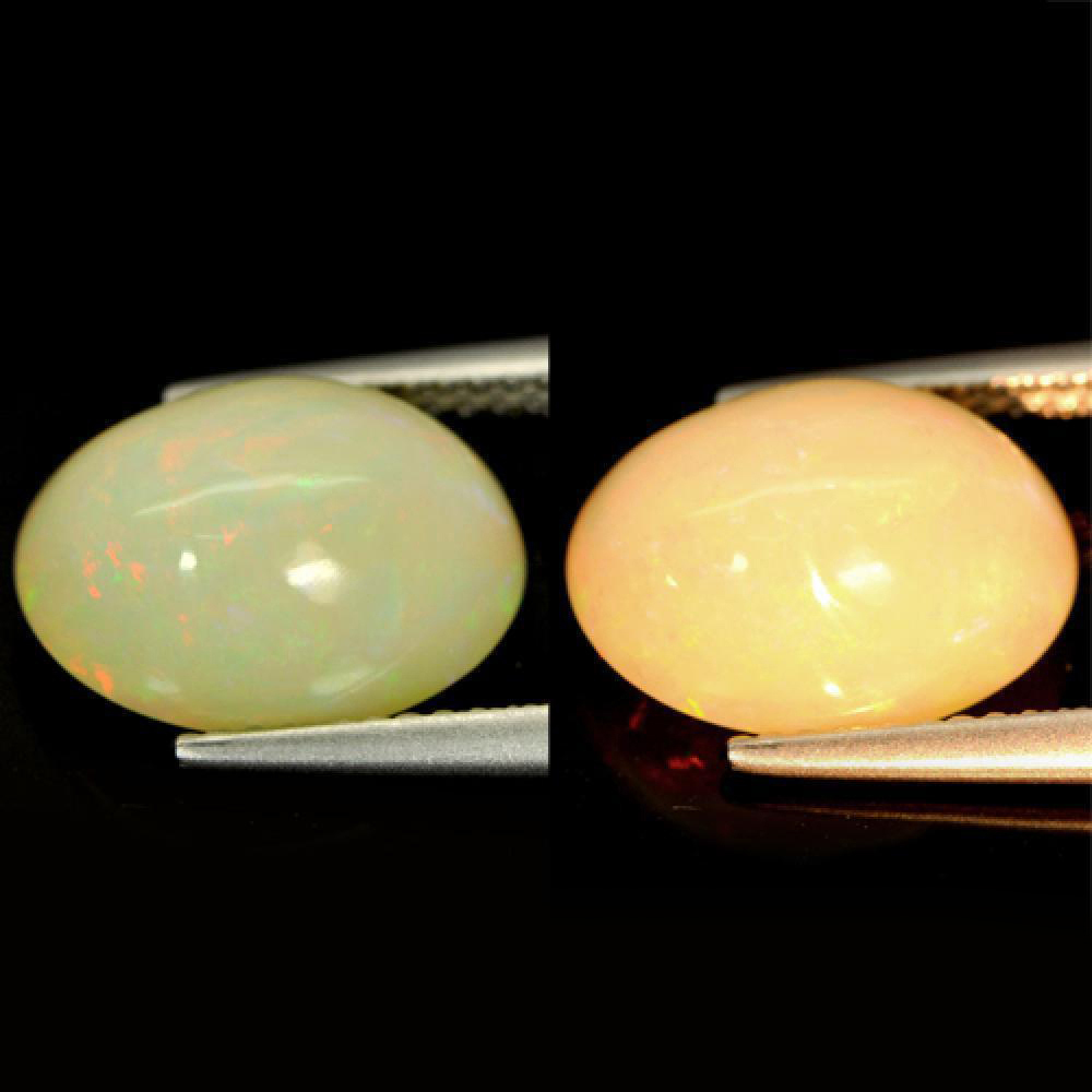 Multi Color Opal 3.96 Ct. Oval Cabochon Natural Gemstone From Ethiopia Unheated
