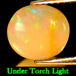 Unheated 1.91 Ct. Oval Cab Natural Multi Color Opal Gem