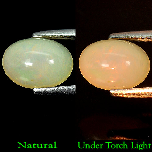 Unheated 1.52 Ct. Oval Cab Natural Multi Color Opal Gem