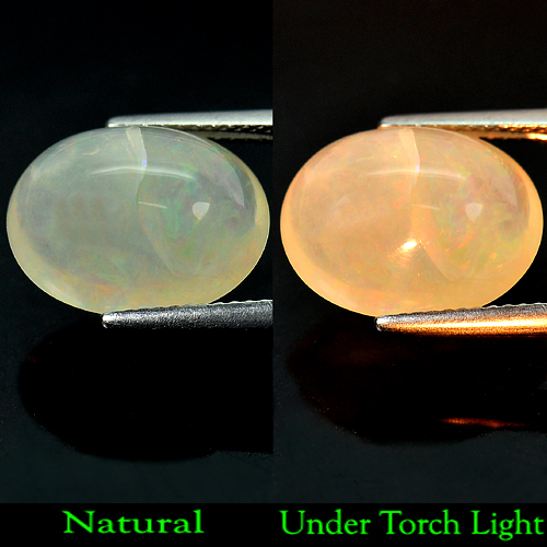 Natural Gem 6.46 Ct. Oval Cabochon Multi Color Opal