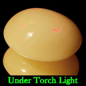 4.72 Ct. Oval Cabochon Natural Multi Color Opal Gem
