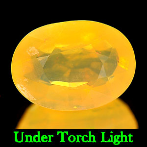 1.41 Ct. Oval Shape Natural Multi-Color Flash "Play Of Colour" Opal Unheated