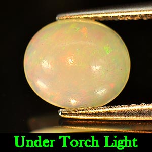 1.38 Ct. Oval Cabochon Natural Multi Color Opal