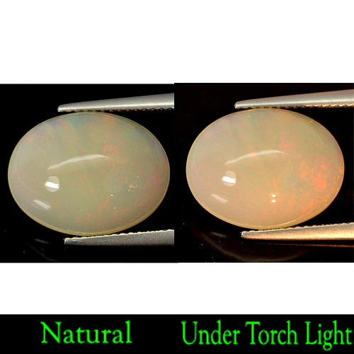 6.09 Ct. Oval Cabochon Natural Multi-Color Flashing Play Of Colour OPAL
